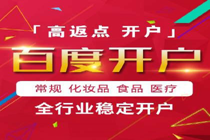 SEM搜索引擎优化策略解析与应用案例